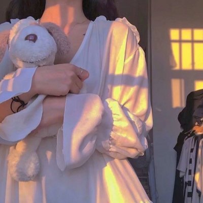 我是霸王龙